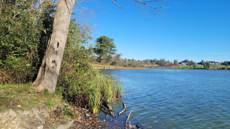 Dryden Lake Multiple Use Area - Dryden, NY