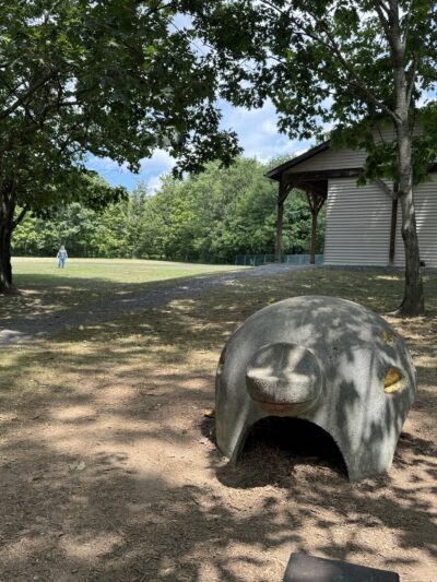 Van Patten Mill Park - Duanesburg, NY