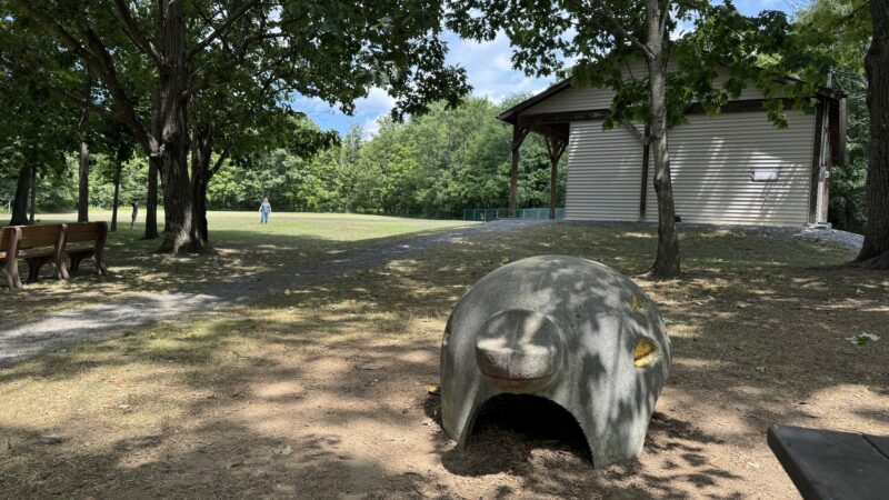Van Patten Mill Park - Duanesburg, NY