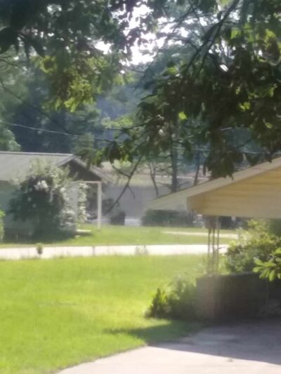 Old Mill Pond & Park - Dubach, LA