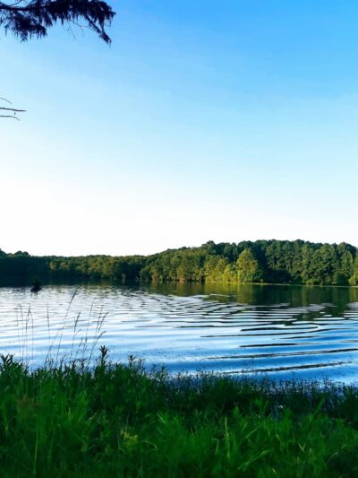 Old Mill Pond & Park - Dubach, LA