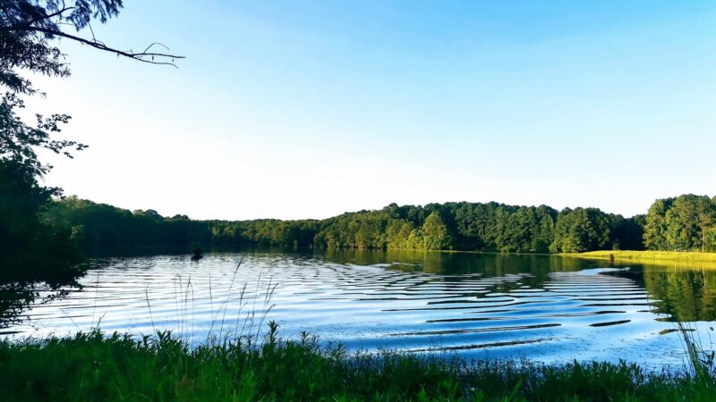 Old Mill Pond & Park - Dubach, LA