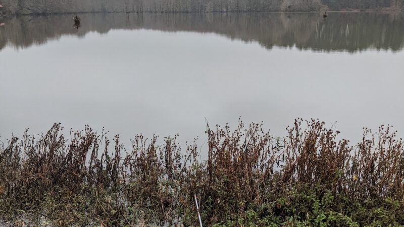 Old Mill Pond & Park - Dubach, LA