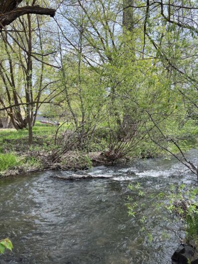 Friends of Dufur Park Inc - Dufur, OR