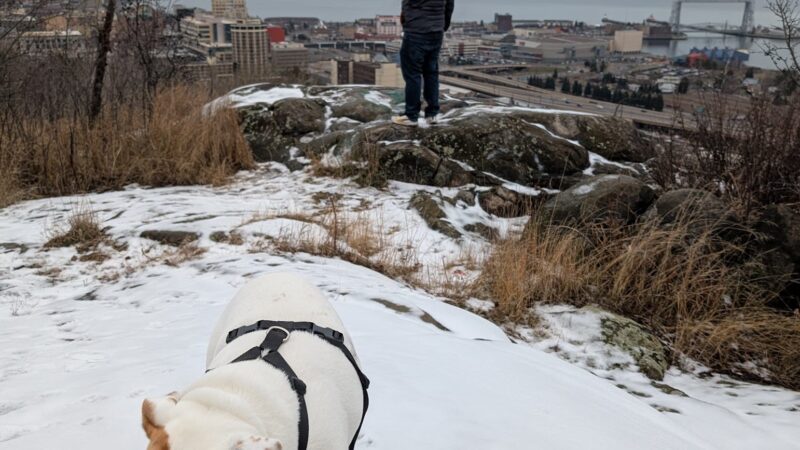 Observation Park - Duluth, MN