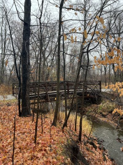 Keene Creek Park - Duluth, MN