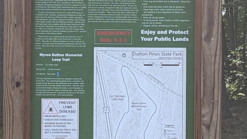 Dutton Pines State Park - Dummerston, VT