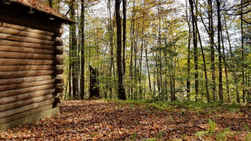 Dutton Pines State Park - Dummerston, VT