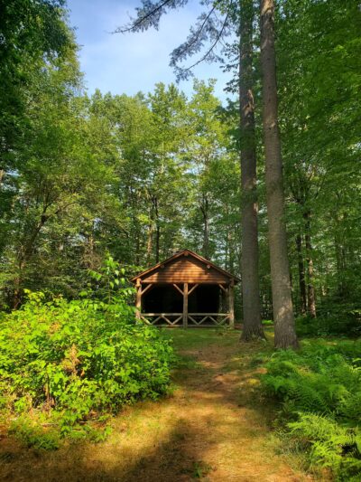 Dutton Pines State Park - Dummerston, VT