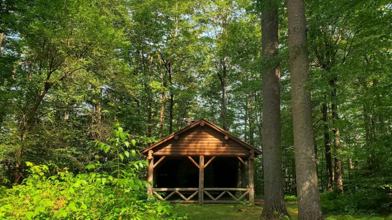 Dutton Pines State Park - Dummerston, VT