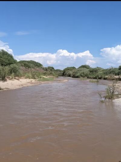 Birding Trail - Duncan, AZ