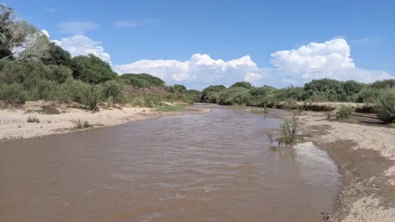 Birding Trail - Duncan, AZ
