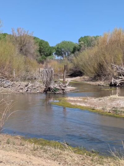 Birding Trail - Duncan, AZ