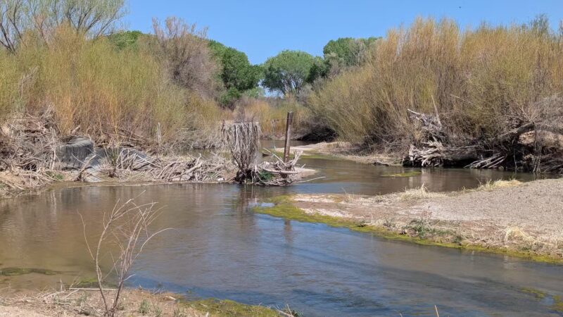 Birding Trail - Duncan, AZ