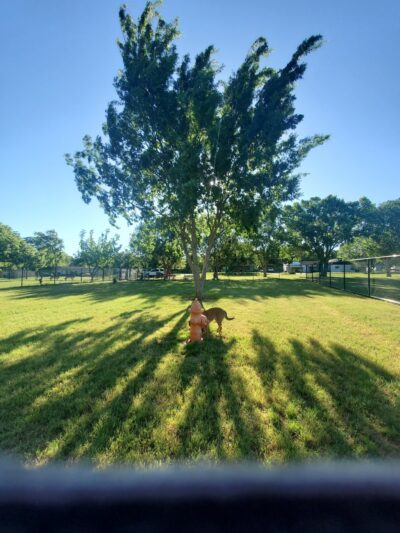 Bark Park - Duncan, OK