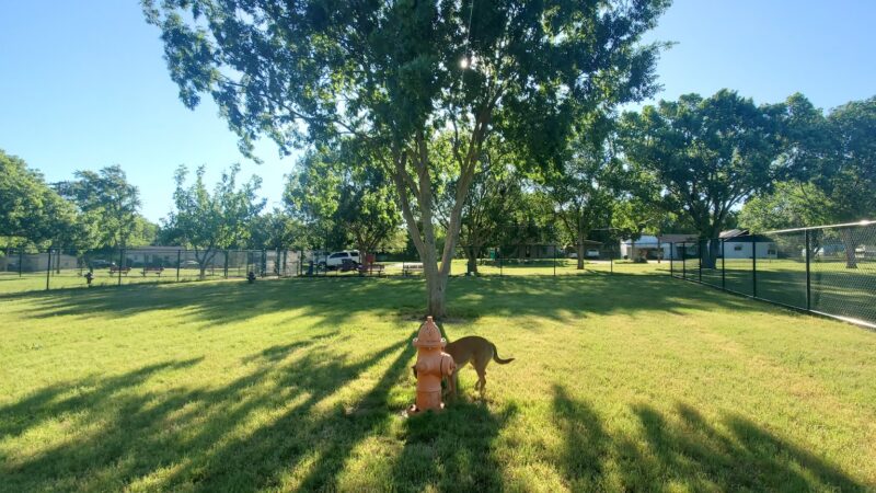 Bark Park - Duncan, OK