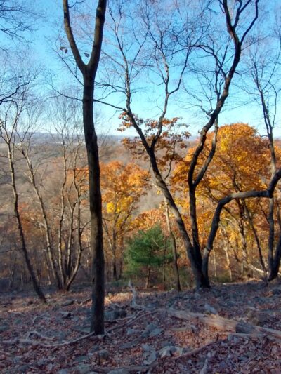 Hawk Rock Overlook - Duncannon, PA