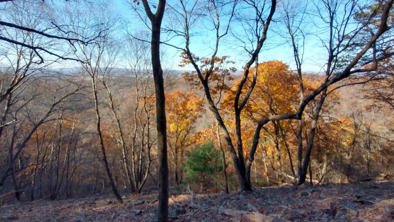 Hawk Rock Overlook - Duncannon, PA