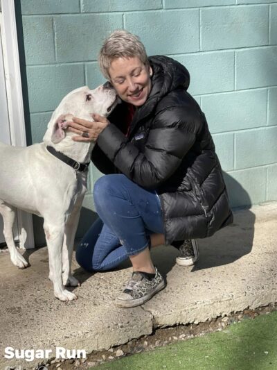 Sugar Run Pet Resort - Duncansville, PA