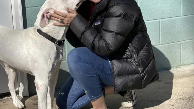 Sugar Run Pet Resort - Duncansville, PA