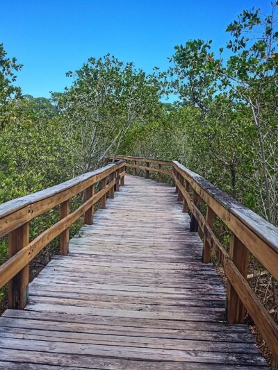 Hammock Park - Dunedin, FL