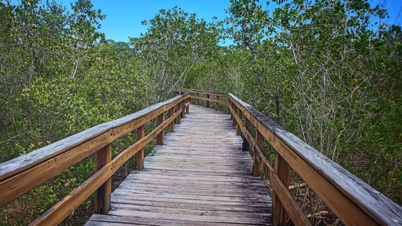 Hammock Park - Dunedin, FL