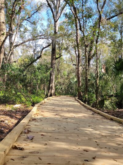 Hammock Park - Dunedin, FL