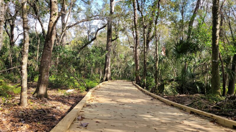 Hammock Park - Dunedin, FL