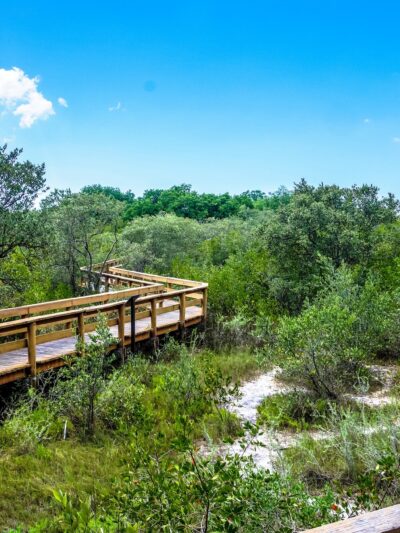 Hammock Park - Dunedin, FL