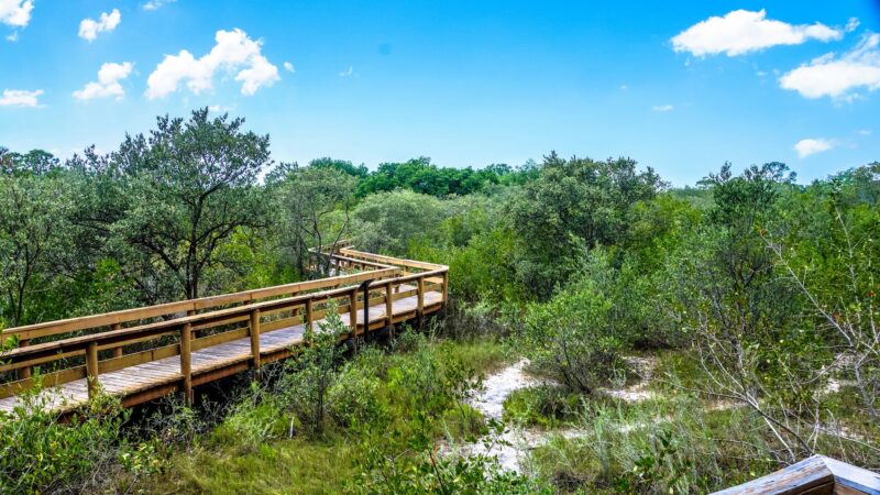 Hammock Park - Dunedin, FL