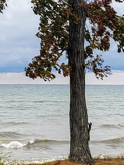 Kochs Field - Dunkirk, NY