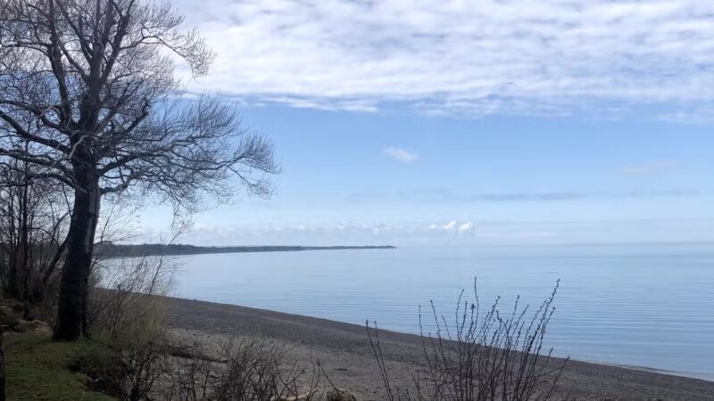 Kochs Field - Dunkirk, NY