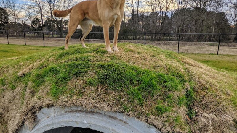 Dunn Dog Park - Dunn, NC