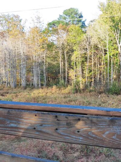 Dunn Erwin Rail Trail - Dunn, NC