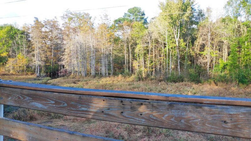 Dunn Erwin Rail Trail - Dunn, NC