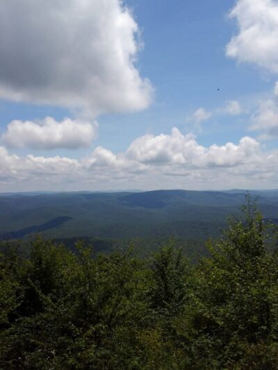 Gaudineer Scenic Area - Durbin, WV