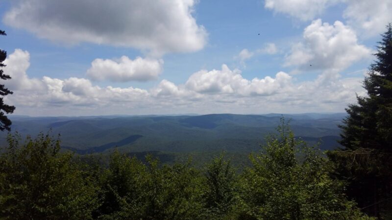 Gaudineer Scenic Area - Durbin, WV