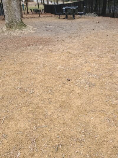 PetSafe Dog Park at Duke Park - Durham, NC