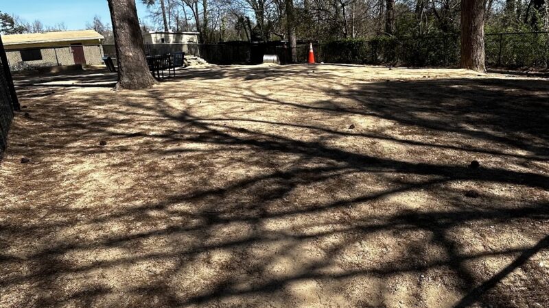 PetSafe Dog Park at Duke Park - Durham, NC
