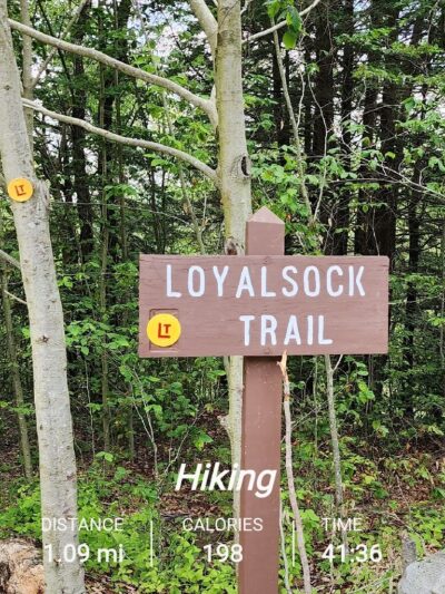 Loyalsock Trailhead Dutchman Falls - Dushore, PA