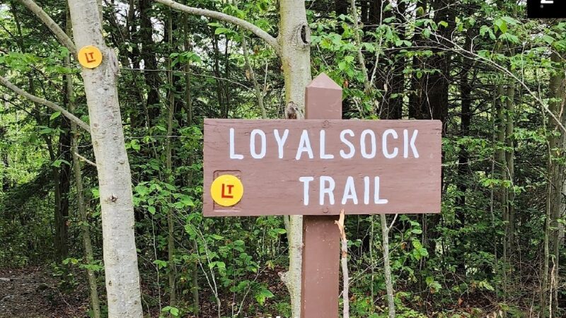 Loyalsock Trailhead Dutchman Falls - Dushore, PA