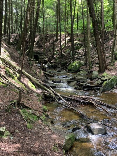 Loyalsock Trailhead Dutchman Falls - Dushore, PA