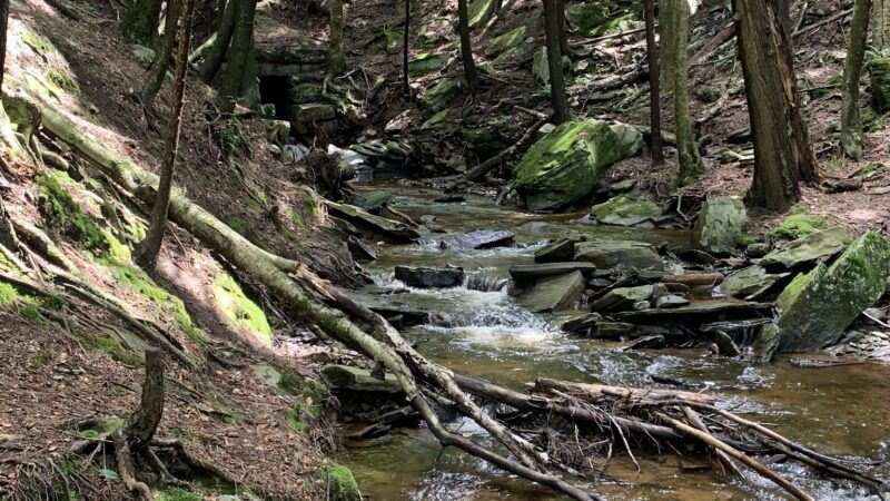 Loyalsock Trailhead Dutchman Falls - Dushore, PA
