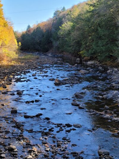 Loyalsock Trailhead Dutchman Falls - Dushore, PA