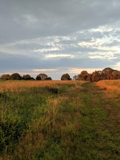 Bay Farm Trails - Duxbury, MA
