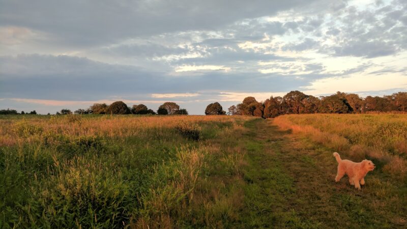 Bay Farm Trails - Duxbury, MA