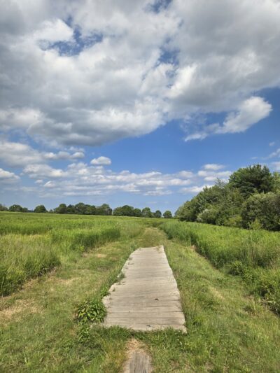 Bay Farm Trails - Duxbury, MA