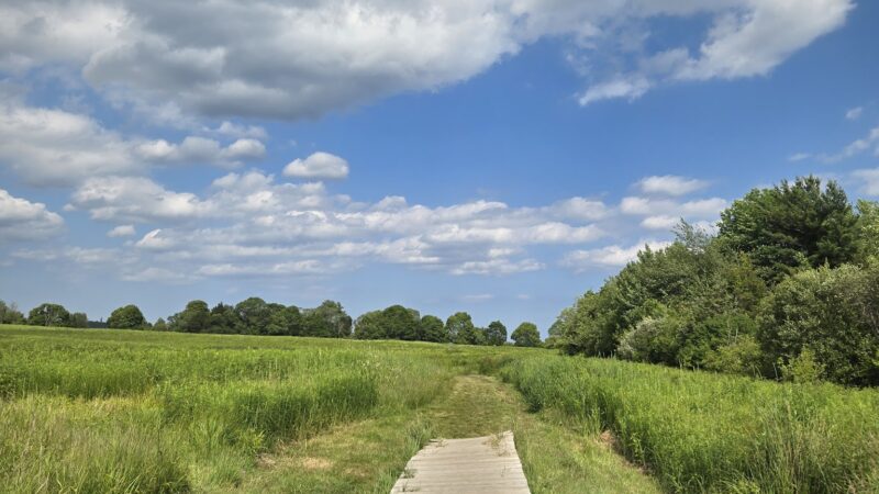 Bay Farm Trails - Duxbury, MA