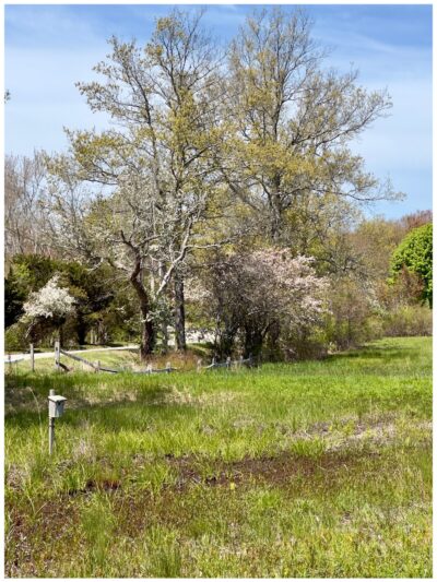 Bay Farm Trails - Duxbury, MA
