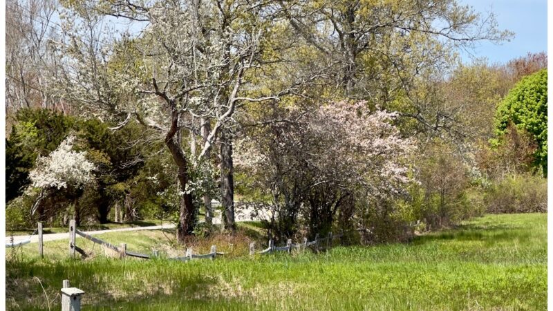 Bay Farm Trails - Duxbury, MA